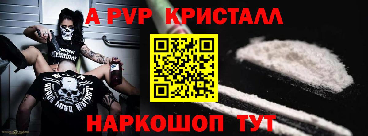 Альфа ПВП СК КРИС Карачаевск