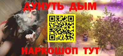 крисы Гай