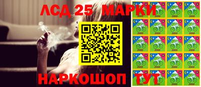 крисы Гай