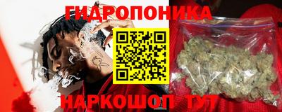 крисы Гай