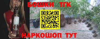 шишки Гагарин