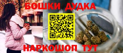 spice Гатчина