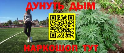 spice Гатчина