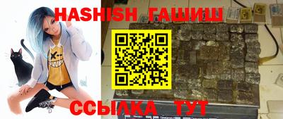 spice Гатчина