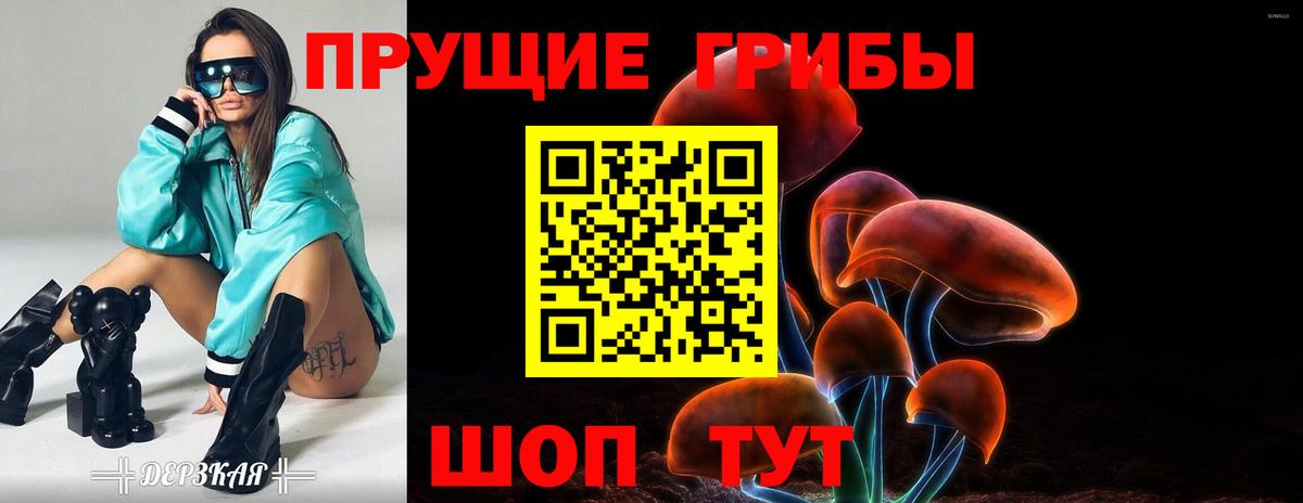 Галлюциногенные грибы Psilocybe  Вход с VPN  Карачаевск 